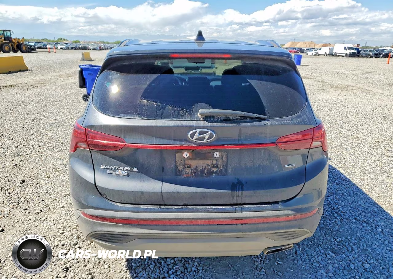 2021 Hyundai Santa Fe Se VIN:5NMS1DAJ3MH325963 - 6