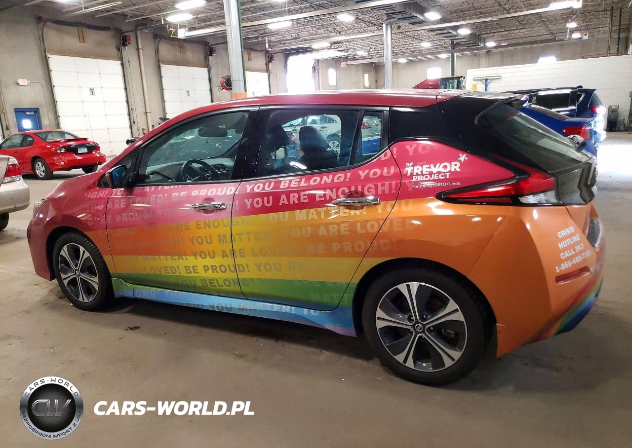 2018 Nissan Leaf Sl VIN:1N4AZ1CPXJC306542 - 2