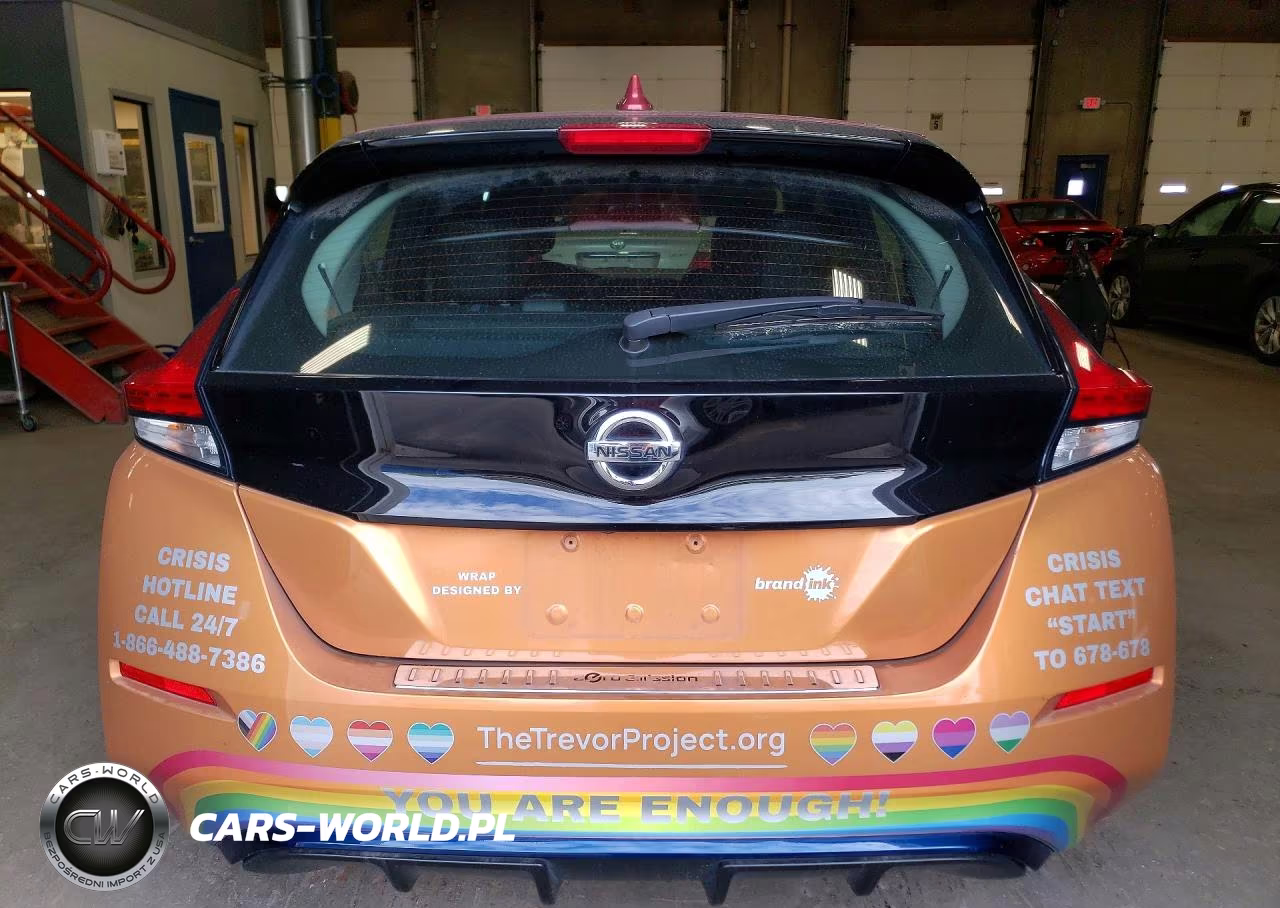 2018 Nissan Leaf Sl VIN:1N4AZ1CPXJC306542 - 6