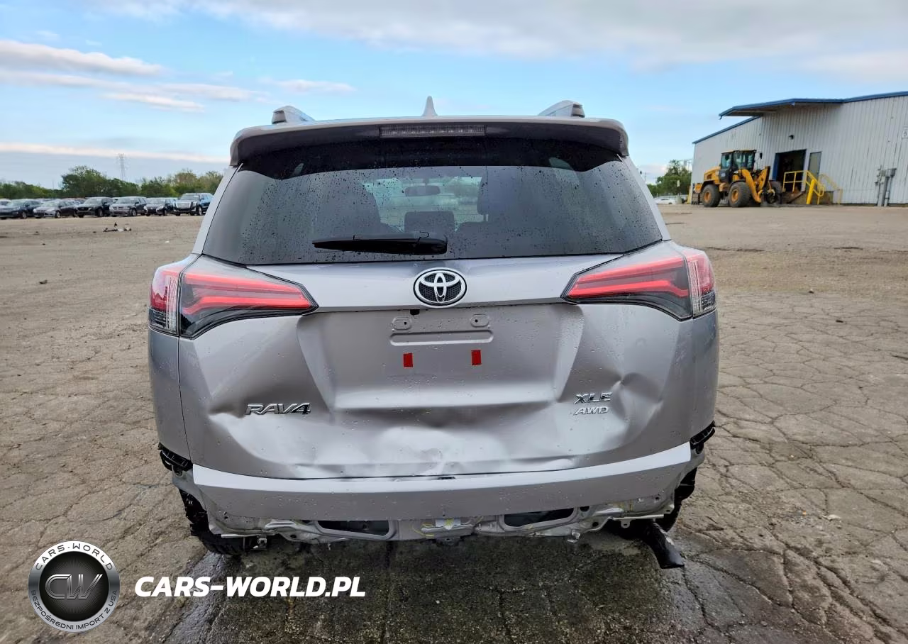 2016 Toyota Rav4 Xle VIN:2T3RFREV3GW412269 - 6