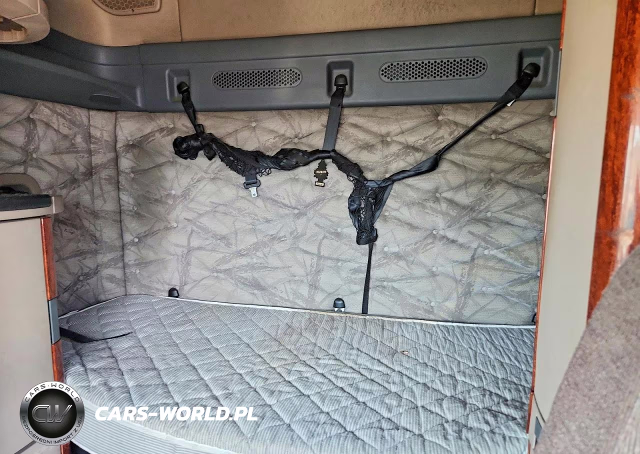 2014 Freightliner Cascadia 125 VIN:1FUJGLD5XELFS3325 - 10