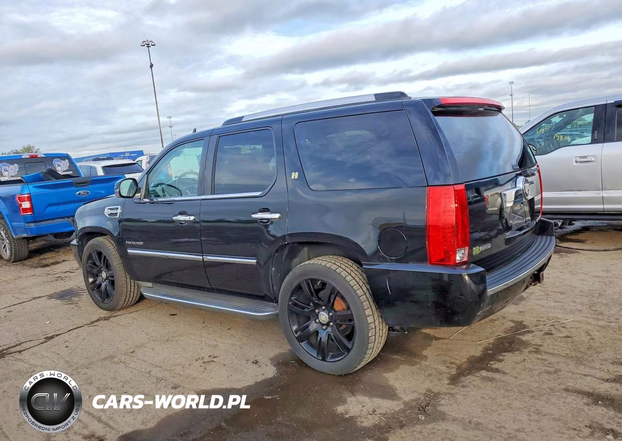 2011 Cadillac Escalade Hybrid VIN:1GYS4EEJ9BR238594 - 2