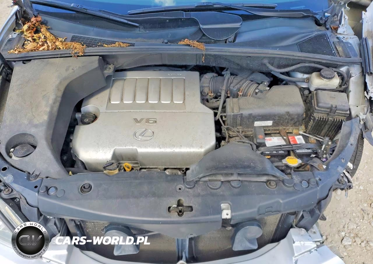 2009 Lexus Rx 350 VIN:2T2HK31U89C125343 - 12
