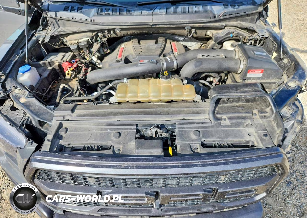 2020 Ford F150 Raptor VIN:1FTFW1RG5LFC06849 - 11