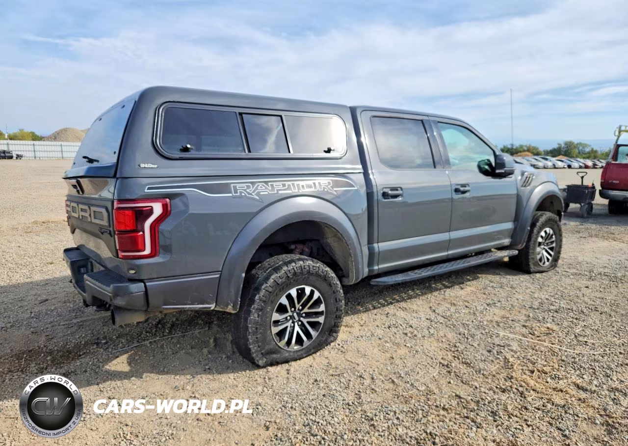 2020 Ford F150 Raptor VIN:1FTFW1RG5LFC06849 - 3