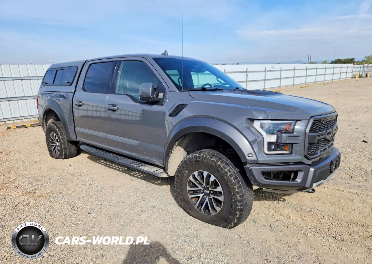 2020 Ford F150 Raptor VIN:1FTFW1RG5LFC06849 - 4