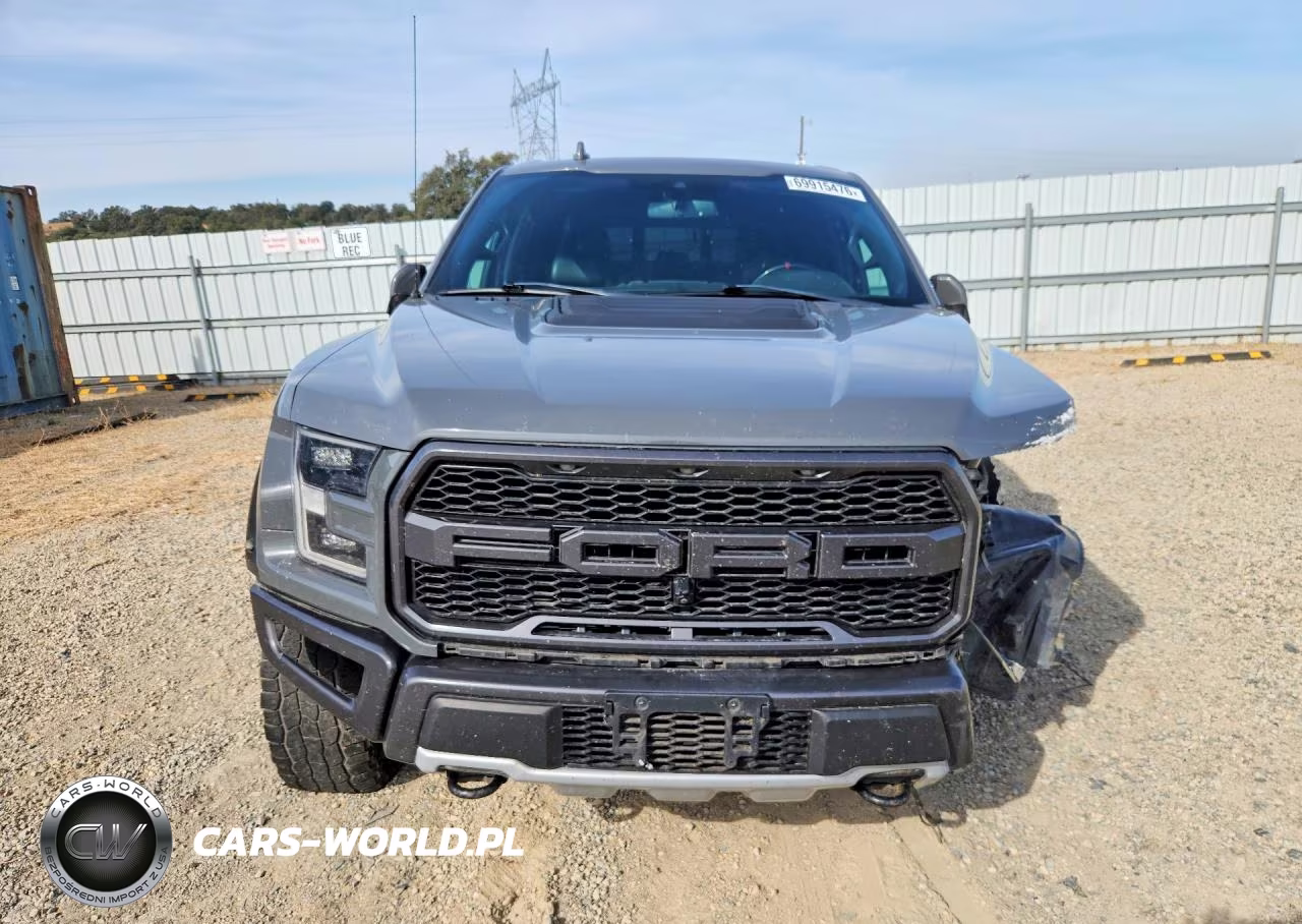 2020 Ford F150 Raptor VIN:1FTFW1RG5LFC06849 - 5