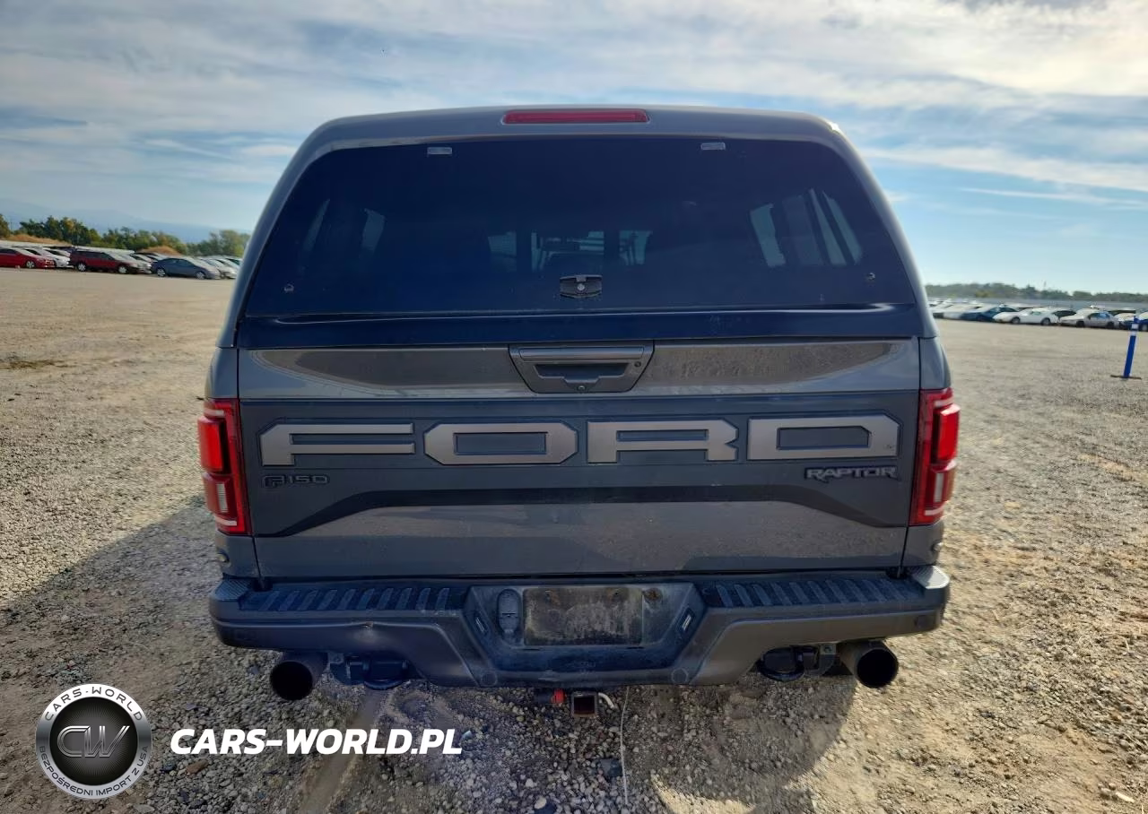 2020 Ford F150 Raptor VIN:1FTFW1RG5LFC06849 - 6
