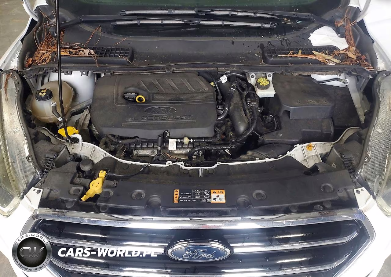 2018 Ford Escape Se VIN:1FMCU9GDXJUA29946 - 12
