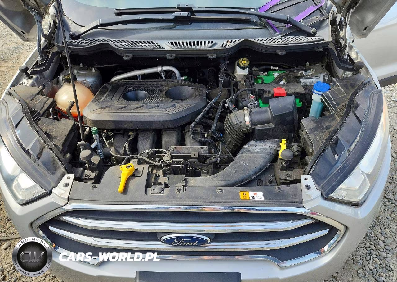 2020 Ford Ecosport Titanium VIN:MAJ6S3KL5LC354117 - 12