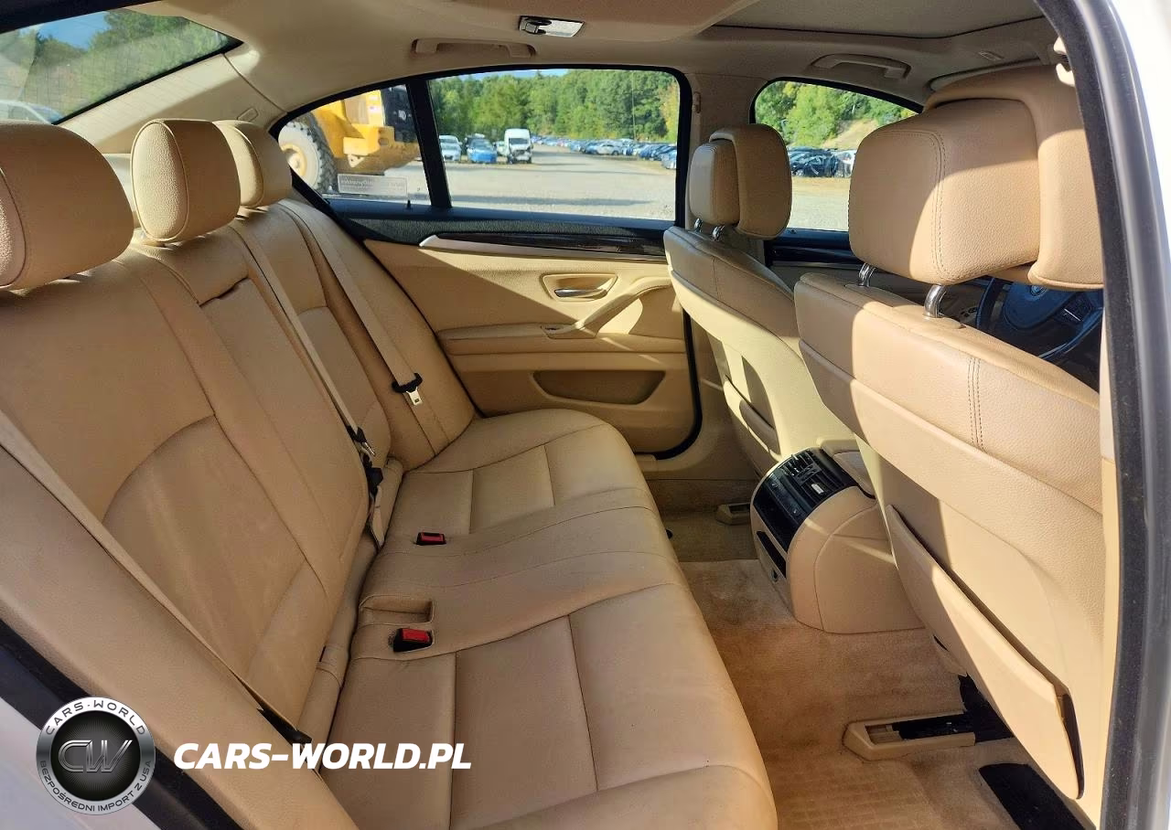 2013 BMW 528 Xi VIN:WBAXH5C57DD110308 - 10