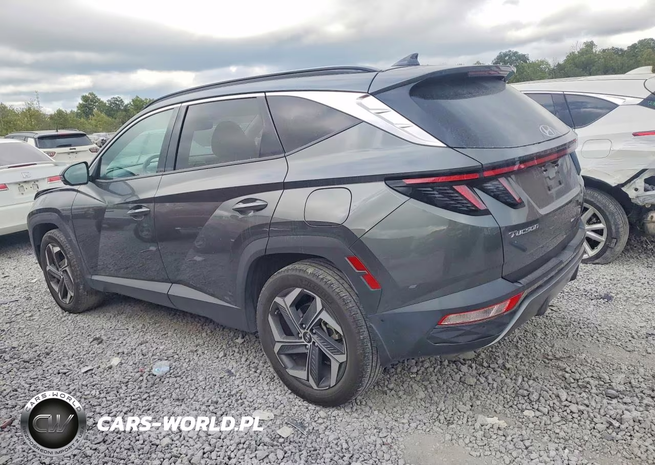 2023 Hyundai Tucson Limited VIN:5NMJECAE2PH175250 - 2