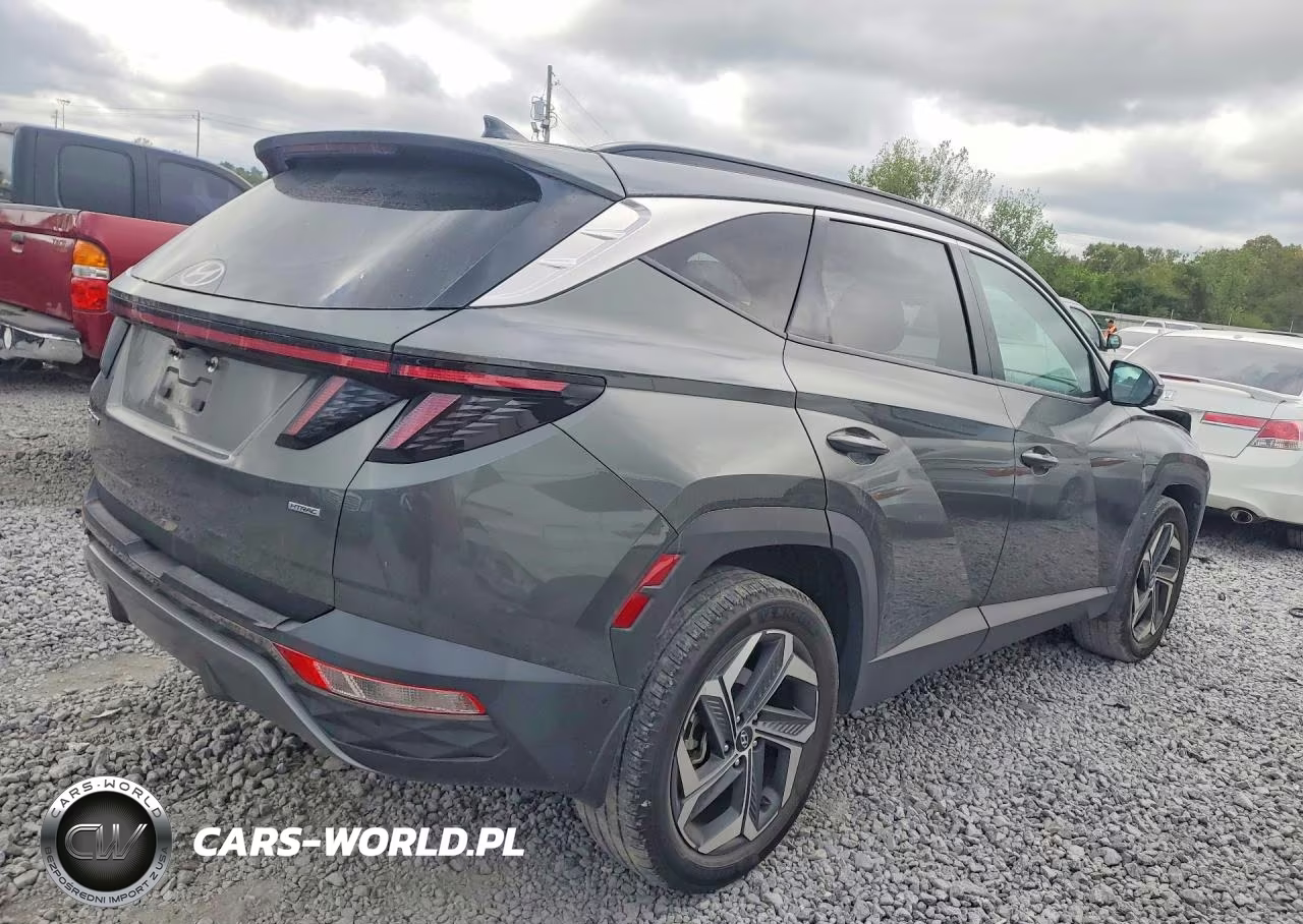 2023 Hyundai Tucson Limited VIN:5NMJECAE2PH175250 - 3