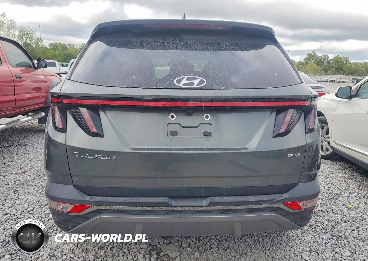 2023 Hyundai Tucson Limited VIN:5NMJECAE2PH175250 - 6