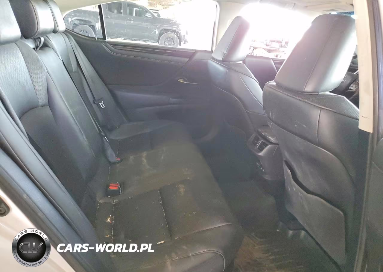 2020 Lexus Es 300H Premium VIN:58AD21B15LU007034 - 10