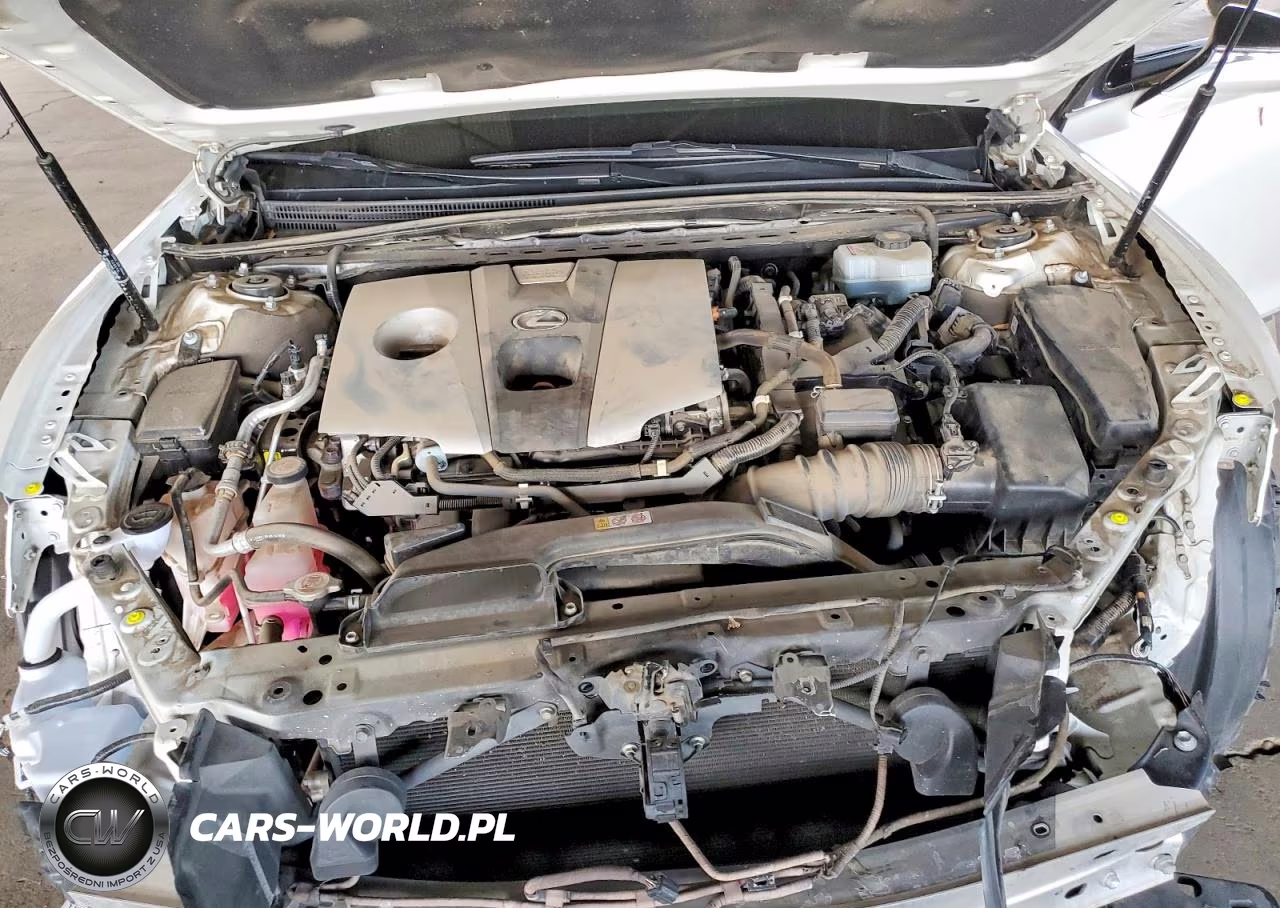 2020 Lexus Es 300H Premium VIN:58AD21B15LU007034 - 11