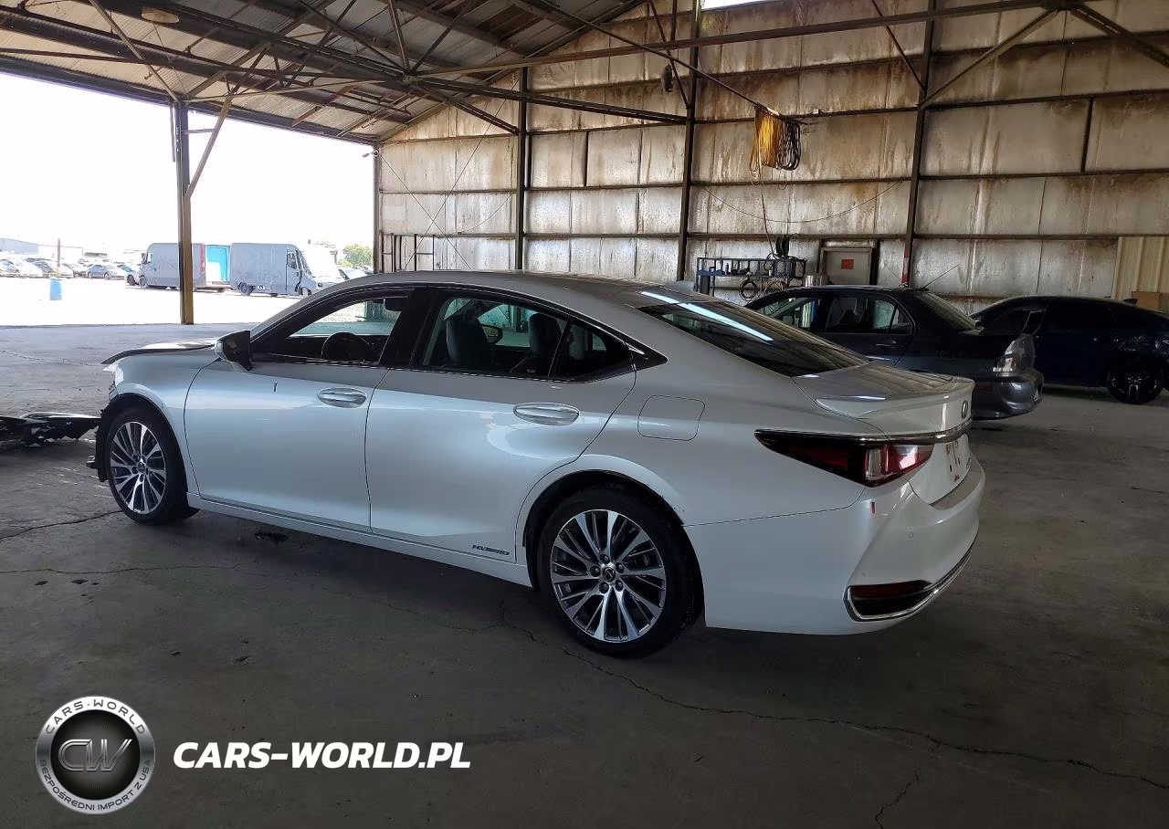 2020 Lexus Es 300H Premium VIN:58AD21B15LU007034 - 2