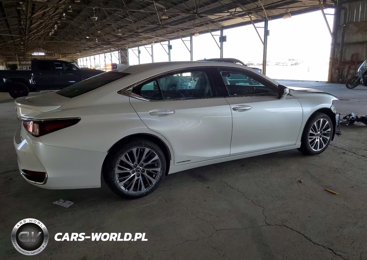 2020 Lexus Es 300H Premium VIN:58AD21B15LU007034 - 3