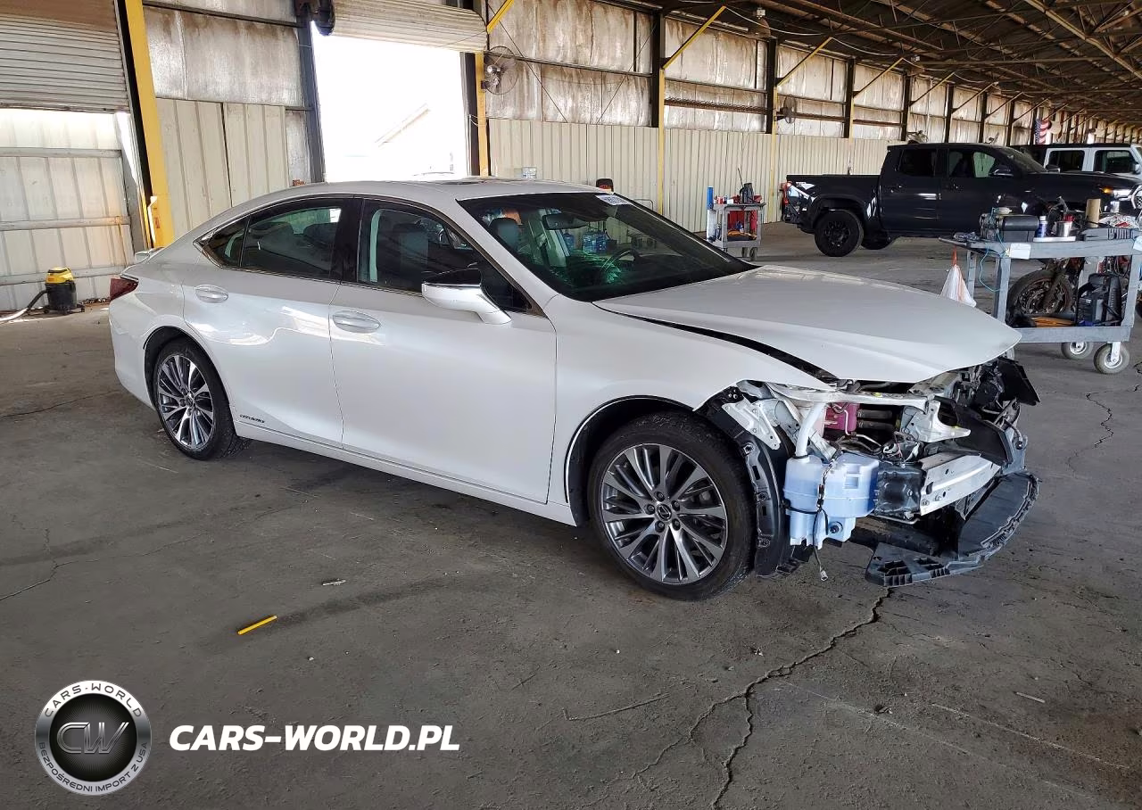 2020 Lexus Es 300H Premium VIN:58AD21B15LU007034 - 4