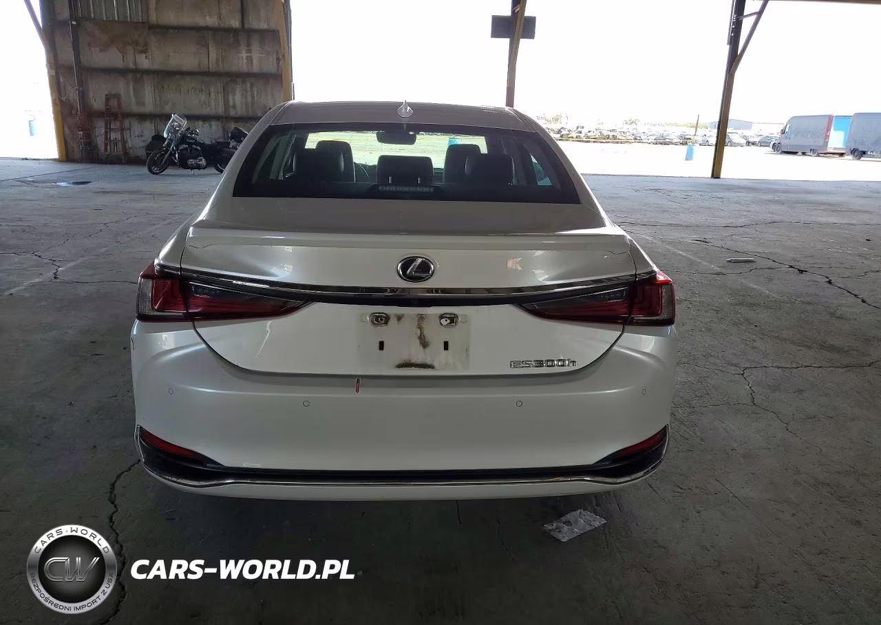 2020 Lexus Es 300H Premium VIN:58AD21B15LU007034 - 6