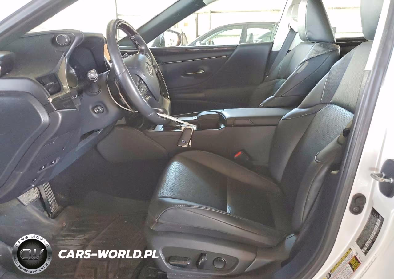 2020 Lexus Es 300H Premium VIN:58AD21B15LU007034 - 7