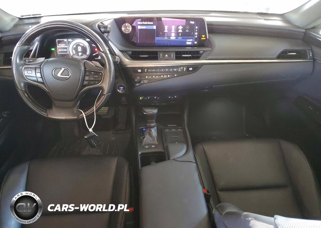 2020 Lexus Es 300H Premium VIN:58AD21B15LU007034 - 8