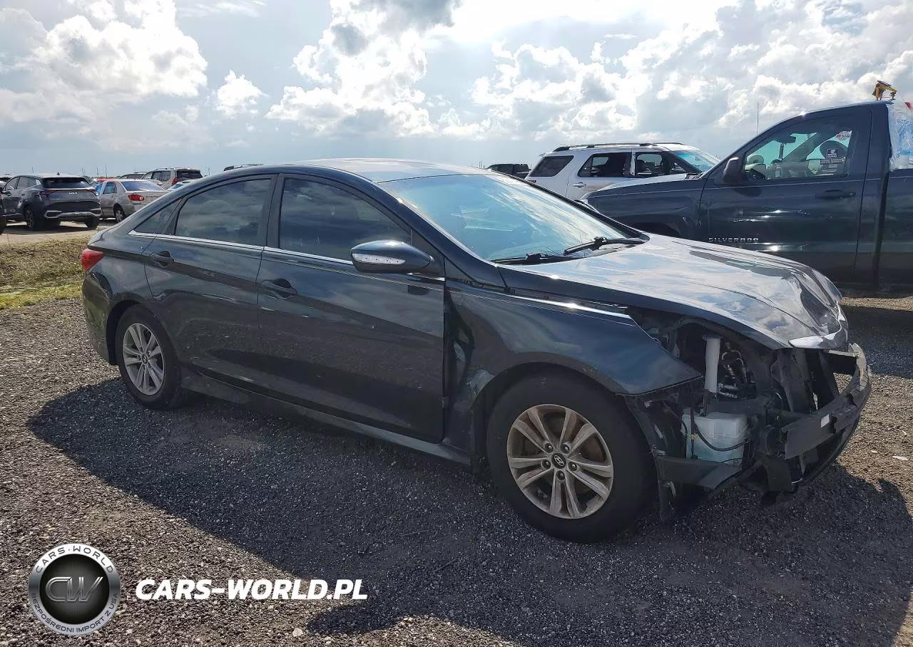 2014 Hyundai Sonata Gls VIN:5NPEB4AC9EH862482 - 4