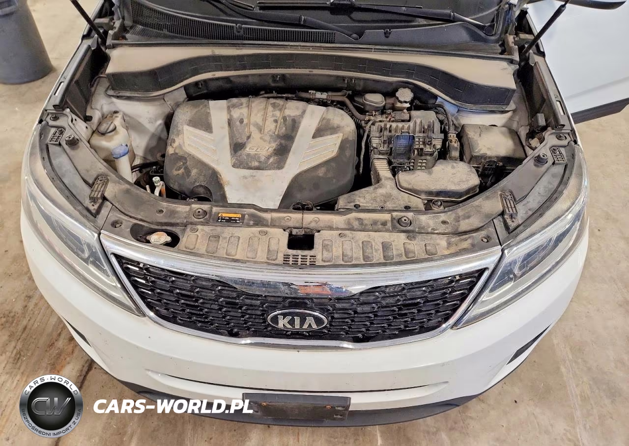 2015 Kia Sorento Lx VIN:5XYKTDA75FG645748 - 12