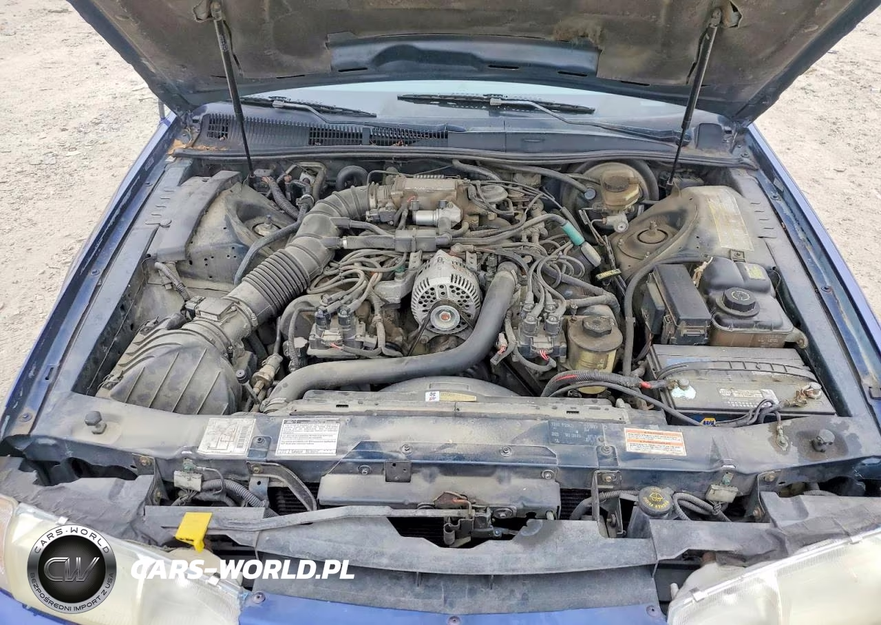 1997 Ford Thunderbird Lx VIN:1FALP62W0VH151710 - 11