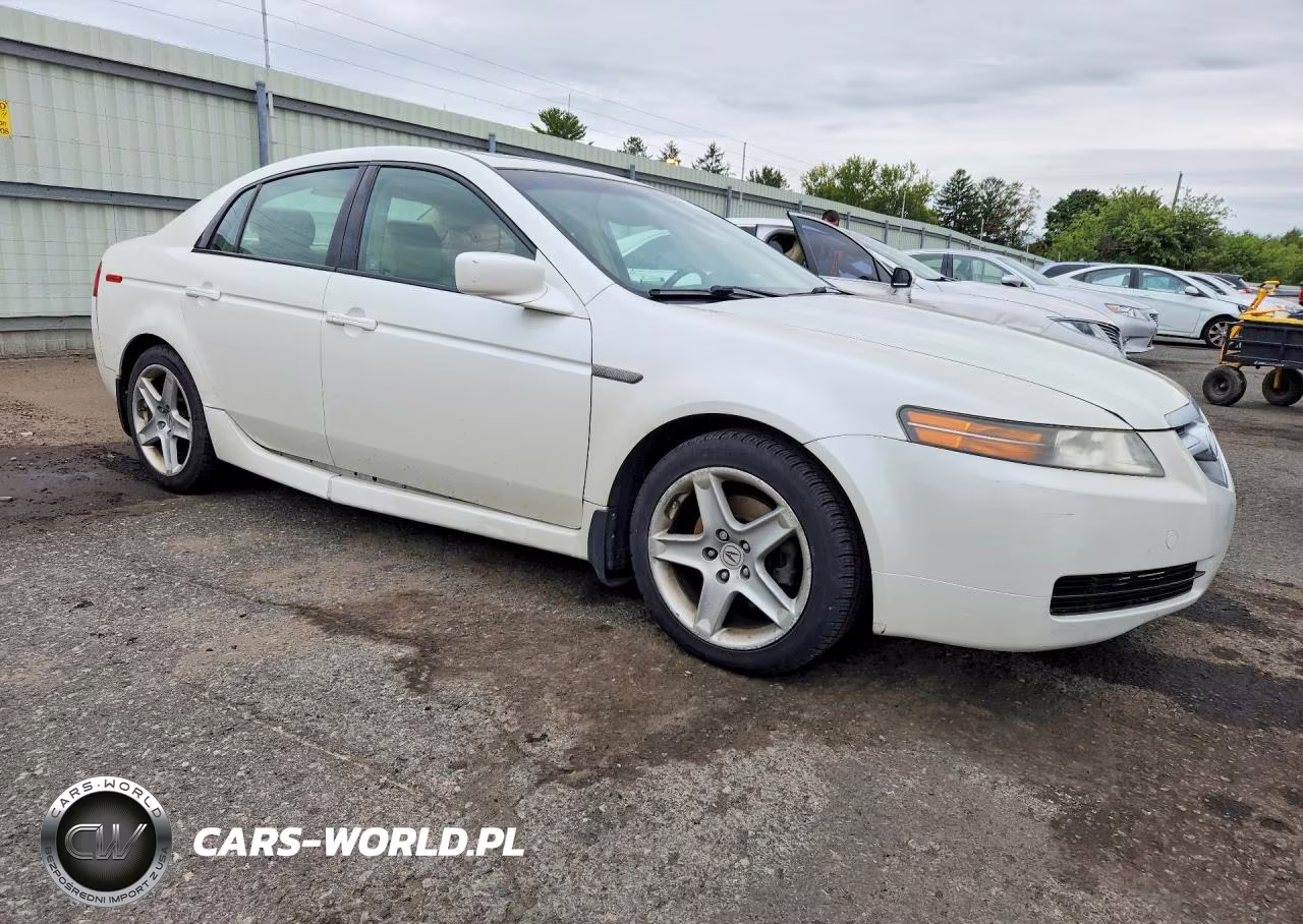 2006 Acura 3.2Tl VIN:19UUA66256A069894 - 4