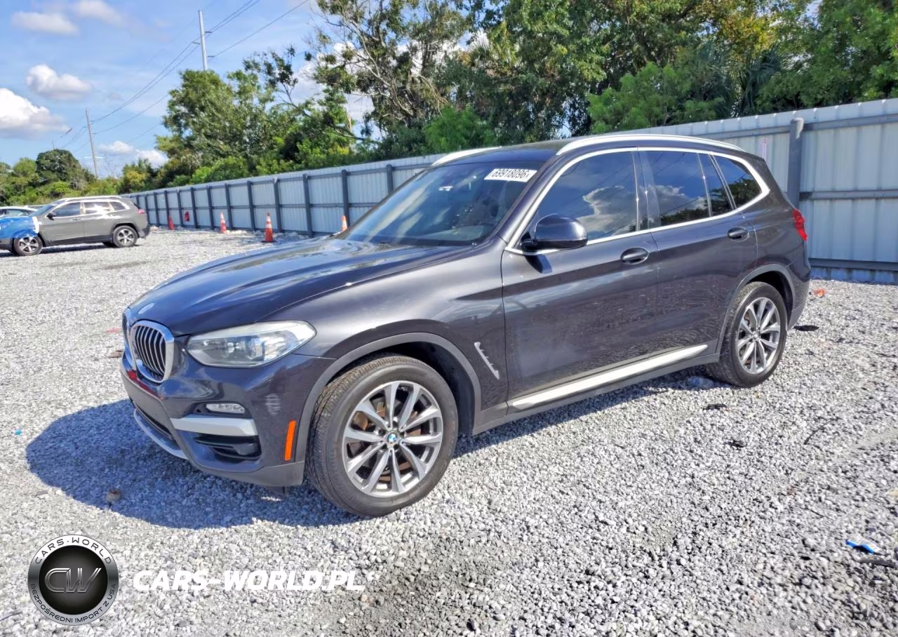 2019 BMW X3 Sdrive30I VIN:5UXTR7C50KLE93460 - 1