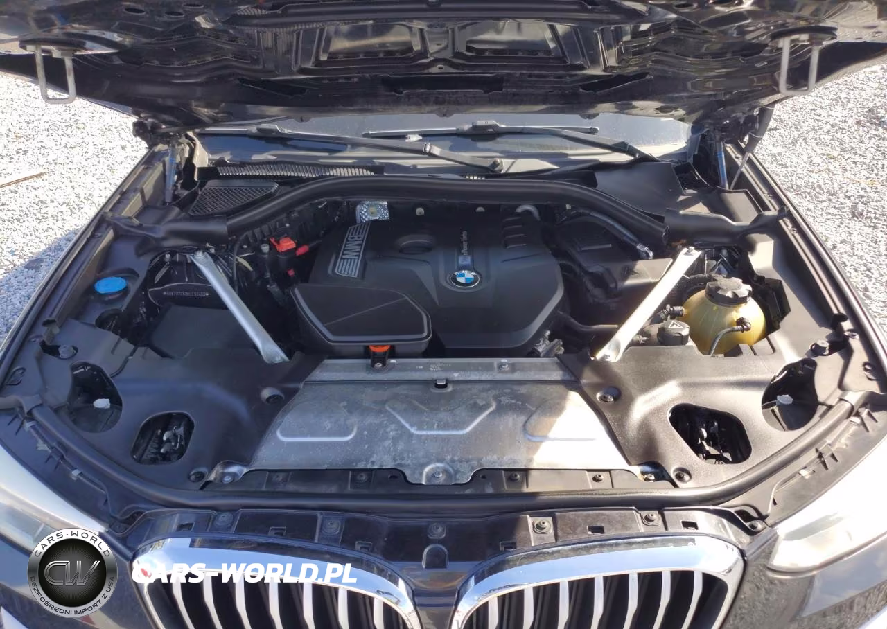 2019 BMW X3 Sdrive30I VIN:5UXTR7C50KLE93460 - 12