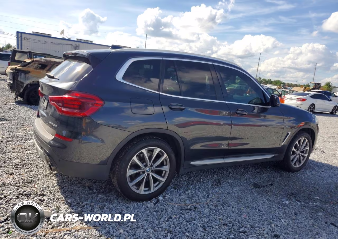 2019 BMW X3 Sdrive30I VIN:5UXTR7C50KLE93460 - 3