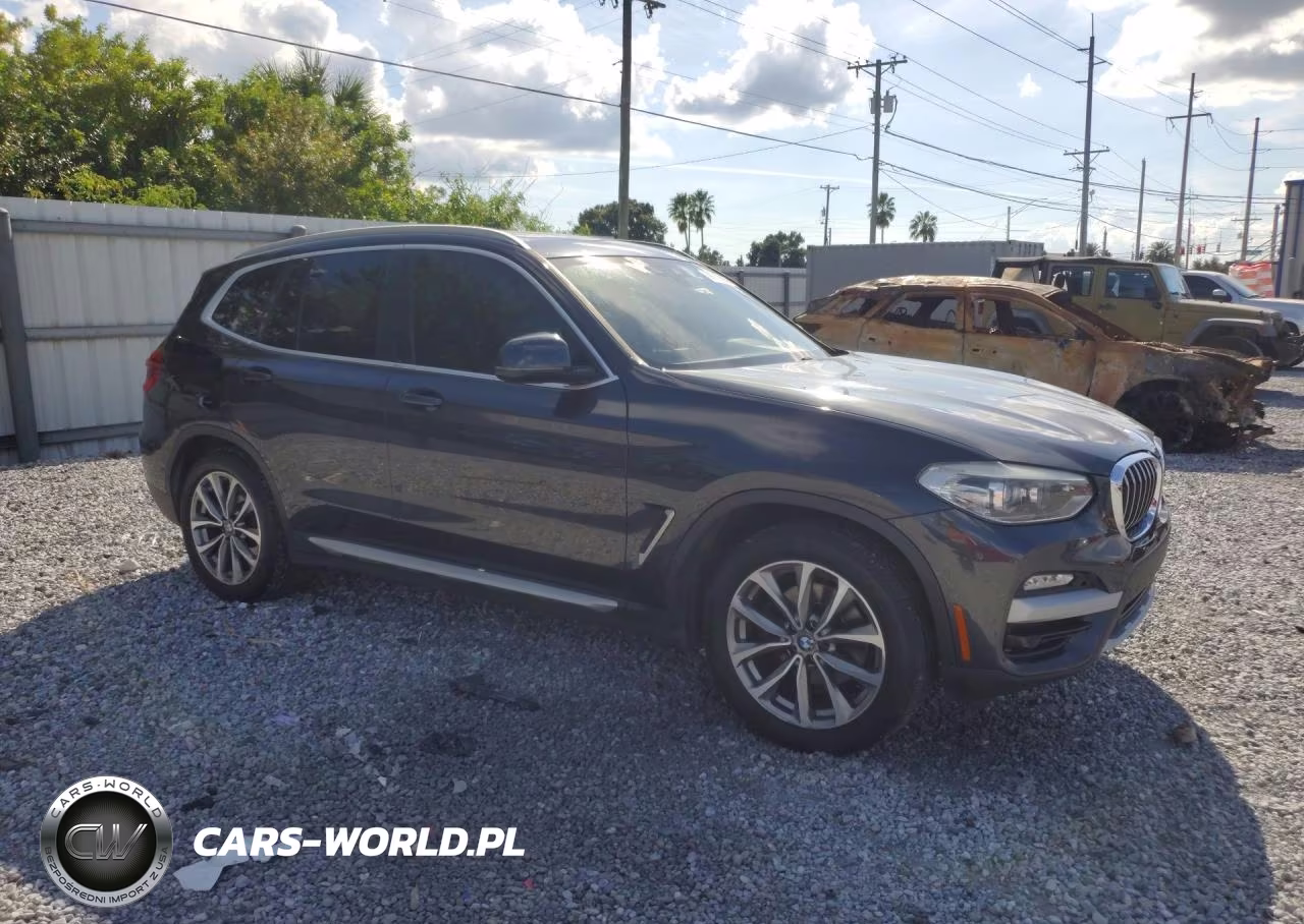2019 BMW X3 Sdrive30I VIN:5UXTR7C50KLE93460 - 4
