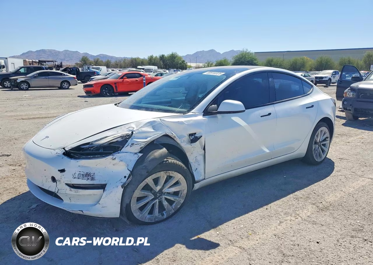 2021 Tesla Model 3 VIN:5YJ3E1EA4MF978725 - 1