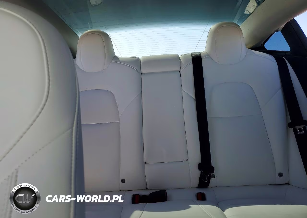2021 Tesla Model 3 VIN:5YJ3E1EA4MF978725 - 10