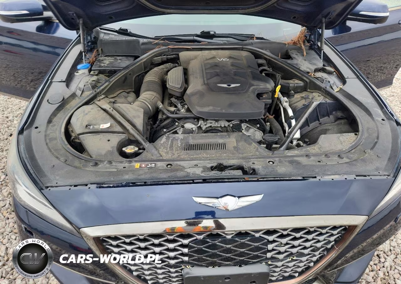 2019 Genesis G80 3.8 VIN:KMTFN4JEXKU320534 - 11