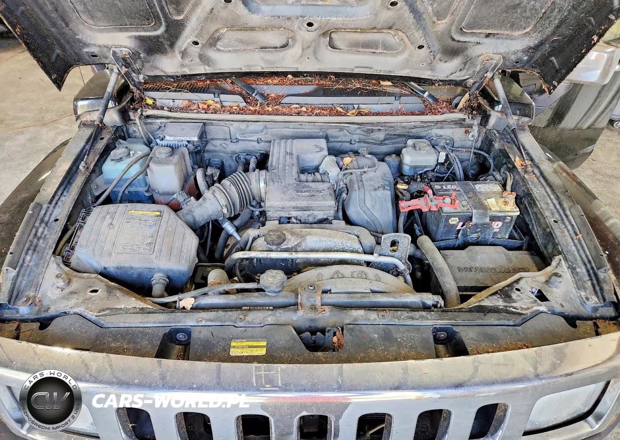 2009 Hummer H3 VIN:5GTEN13EX98150533 - 12