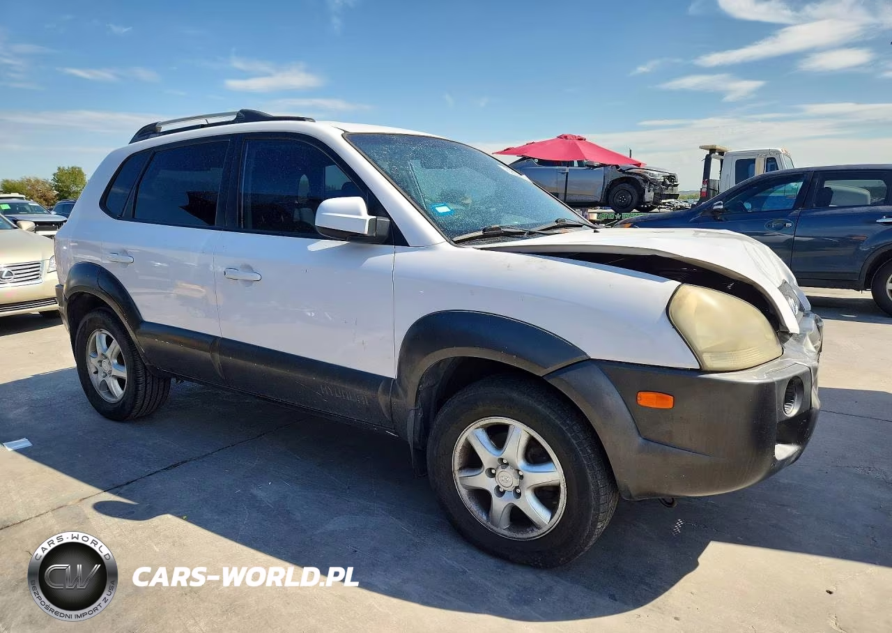2005 Hyundai Tucson VIN:KM8JN12D65U155241 - 4