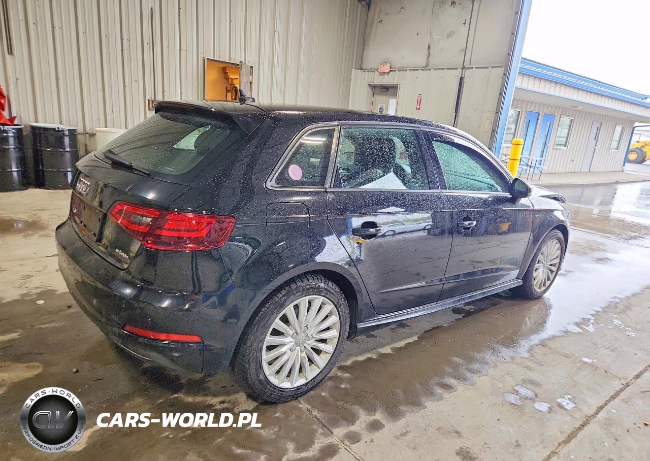 2016 Audi A3 E-Tron Premium VIN:WAUUPBFF2GA145529 - 3