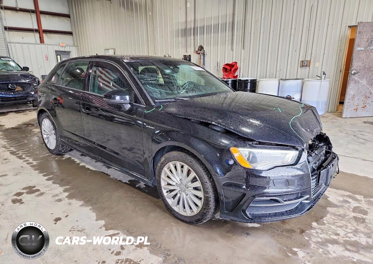 2016 Audi A3 E-Tron Premium VIN:WAUUPBFF2GA145529 - 4