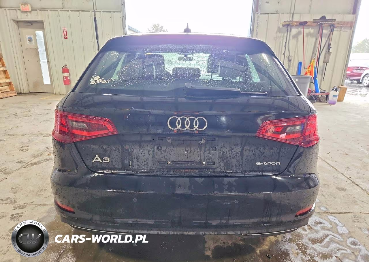 2016 Audi A3 E-Tron Premium VIN:WAUUPBFF2GA145529 - 6