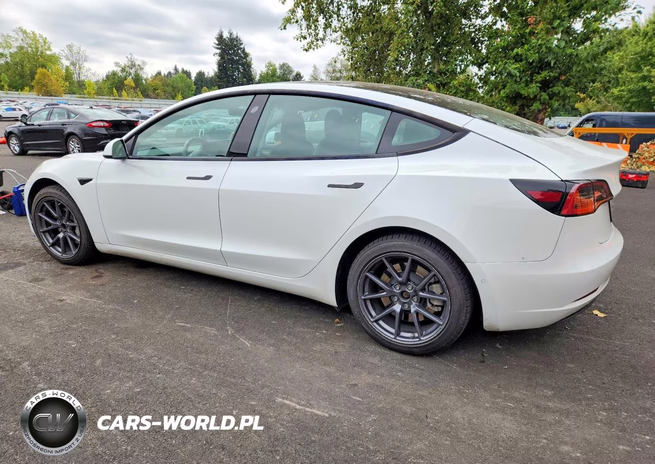 2022 Tesla Model 3 VIN:5YJ3E1EA4NF286644 - 2