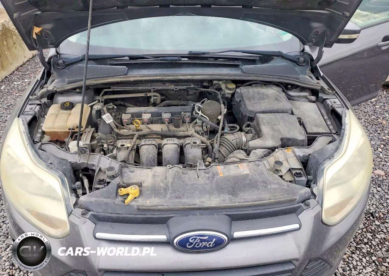 2014 Ford Focus Se VIN:1FADP3F25EL406861 - 11