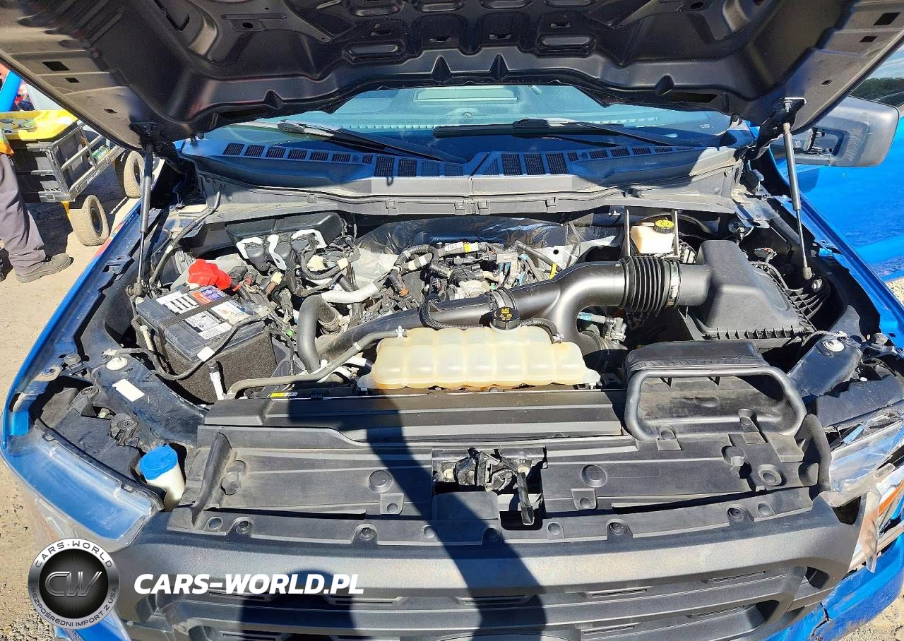 2021 Ford F150 Supercrew VIN:1FTEW1EP7MFC38754 - 11