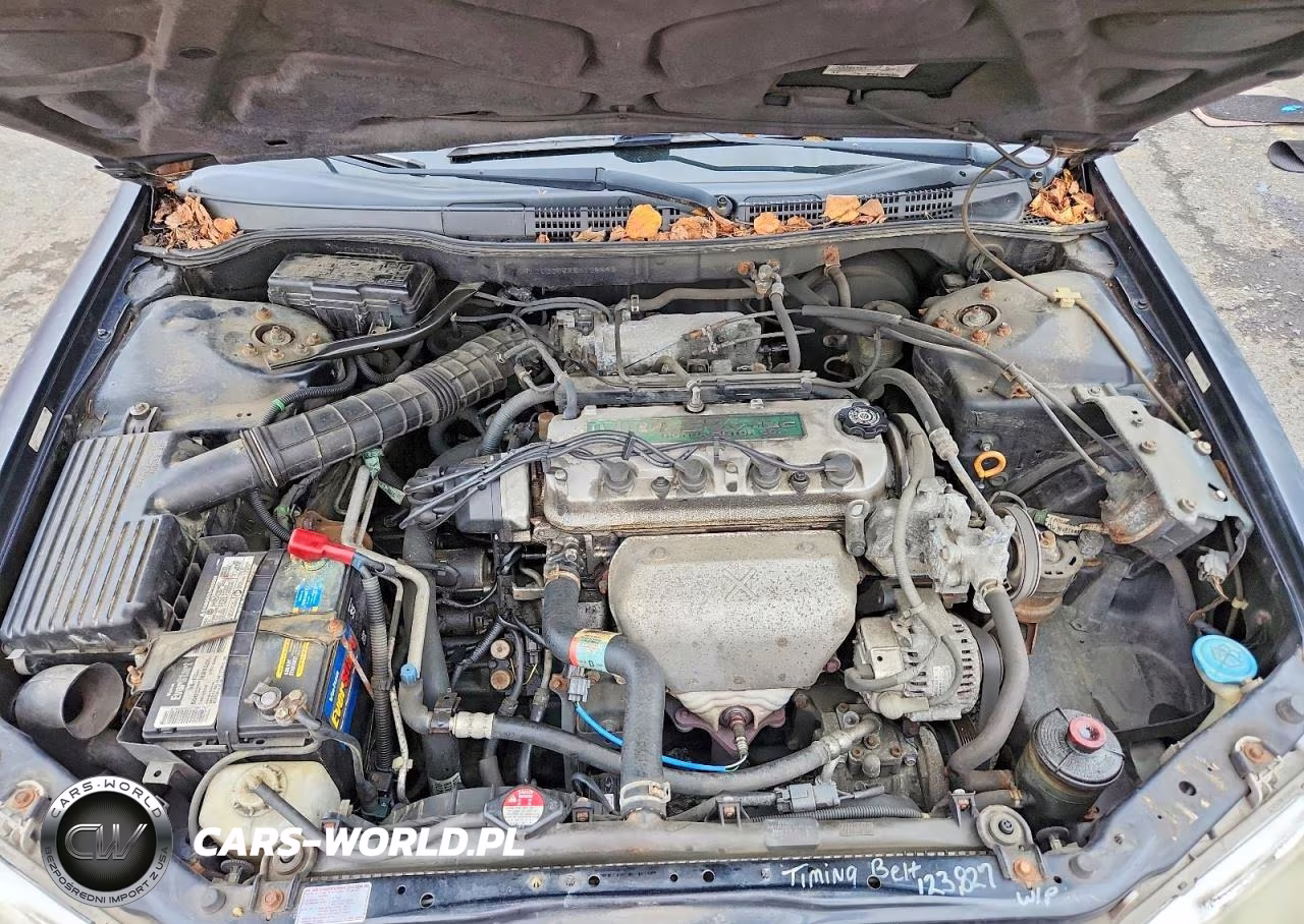 1999 Honda Accord Lx VIN:1HGCG6652XA128891 - 11