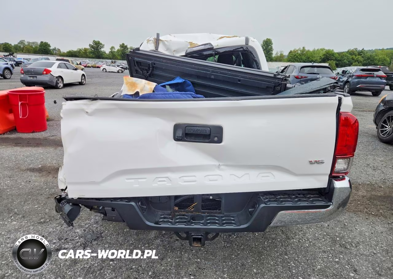 2019 Toyota Tacoma Trd Off-Road VIN:3TMCZ5AN6KM282607 - 6