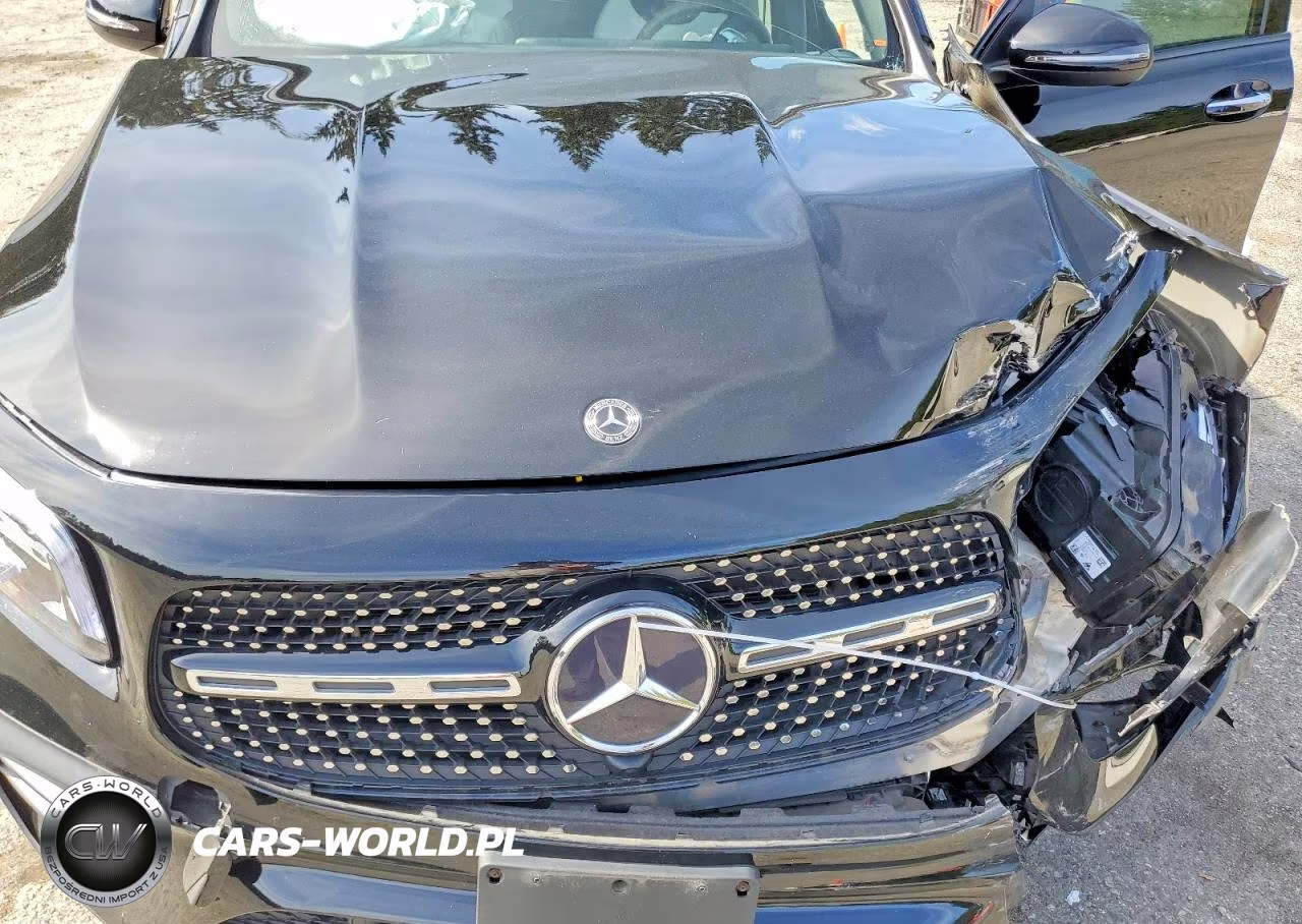 2023 Mercedes-Benz Glb 250 4Matic VIN:W1N4M4HB2PW289403 - 12