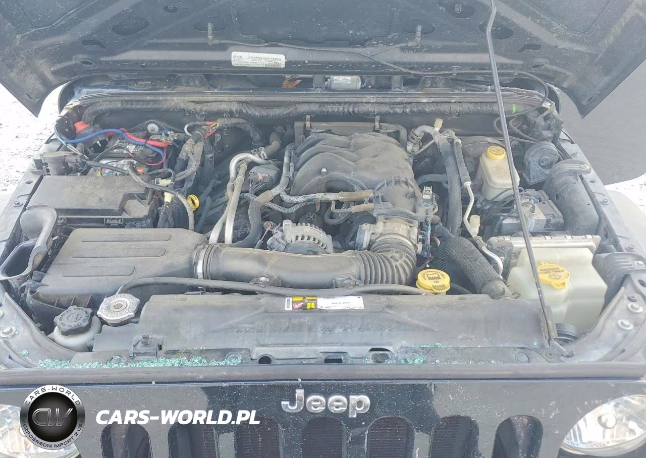 2016 Jeep Wrangler Unlimited Sport VIN:1C4HJWDGXGL295773 - 11