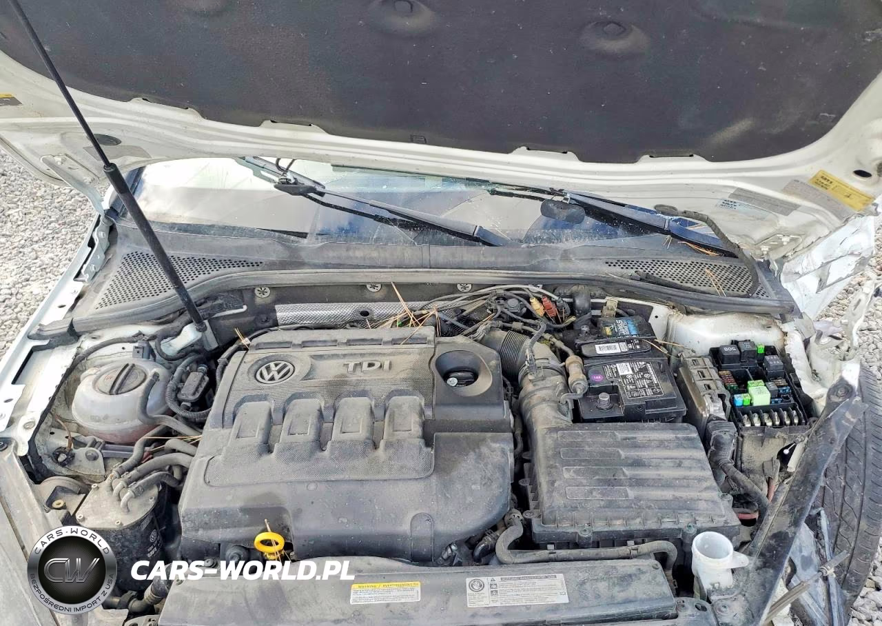 2015 Volkswagen Golf Sportwagen Tdi S VIN:3VWCA7AU7FM506822 - 12